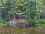 393 Chemung Road - Photo 28