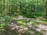 393 Chemung Road - Photo 39