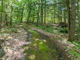 393 Chemung Road - Photo 40