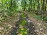393 Chemung Road - Photo 41