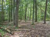393 Chemung Road - Photo 48