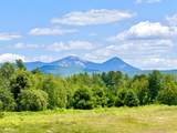 391 & 75 Percy View - Photo 4