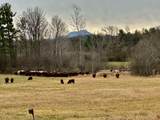1017 Cheesefactory Road - Photo 32