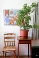 217 Woodhaven Drive - Photo 5