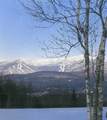 700 Small Farm Road - Photo 23