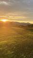 700 Small Farm Road - Photo 25