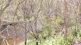 130 Morgan Street - Photo 9