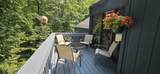 119 Williams Lane - Photo 9