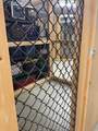 118 Secretariat Way - Photo 31