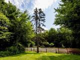 31 Christmas Tree Road - Photo 33