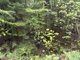 0 Bergrucken Lane - Photo 2