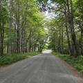 77 Hatch School Road - Photo 31