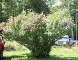 126 Tinmouth Pond Road - Photo 7