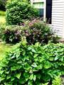 121 Townhouse Way - Photo 19