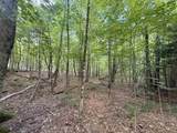 115 Forbes Mountain Road - Photo 11
