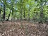 115 Forbes Mountain Road - Photo 12