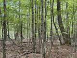 115 Forbes Mountain Road - Photo 13