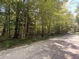 115 Forbes Mountain Road - Photo 2