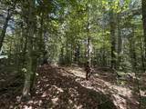 115 Forbes Mountain Road - Photo 4