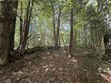 115 Forbes Mountain Road - Photo 5