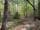 115 Forbes Mountain Road - Photo 6