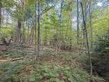 115 Forbes Mountain Road - Photo 7