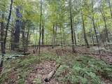 115 Forbes Mountain Road - Photo 8