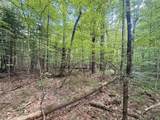 115 Forbes Mountain Road - Photo 9