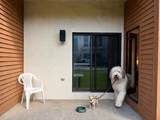 73 Alpine Drive - Photo 24