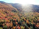  Sweet Road - Photo 16
