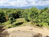 415 Sugarhouse Road - Photo 14