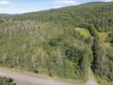  White Branch Road - Photo 1