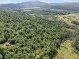  White Branch Road - Photo 13