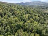  White Branch Road - Photo 15