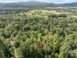  White Branch Road - Photo 17