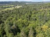  White Branch Road - Photo 18