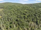  White Branch Road - Photo 19