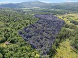  White Branch Road - Photo 2