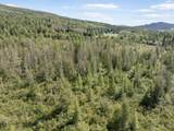  White Branch Road - Photo 21