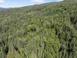  White Branch Road - Photo 29