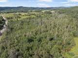  White Branch Road - Photo 3