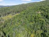  White Branch Road - Photo 30