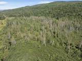  White Branch Road - Photo 5