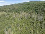  White Branch Road - Photo 6
