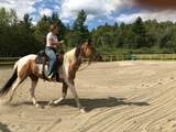 830 Taft Road - Photo 57