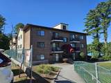126 Mammoth Road - Photo 1
