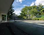 6 Autumn Leaf Drive - Photo 30