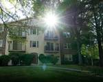 6 Autumn Leaf Drive - Photo 31