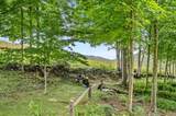 56 Johnson Road - Photo 10