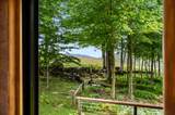 56 Johnson Road - Photo 47